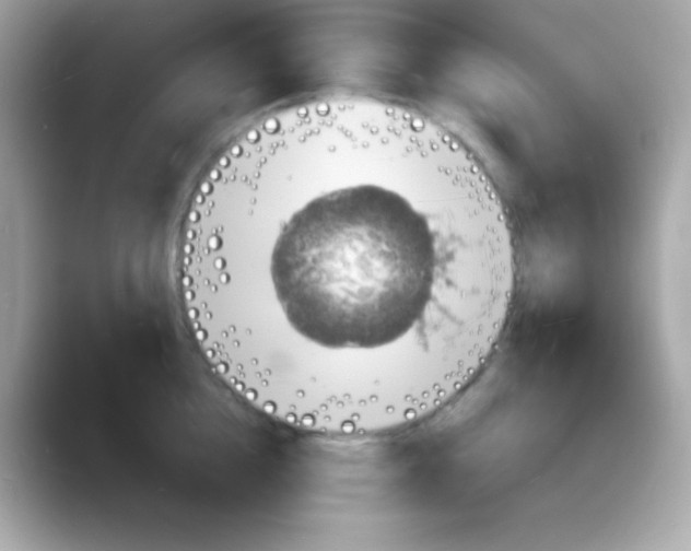 X0000088130856200706041947