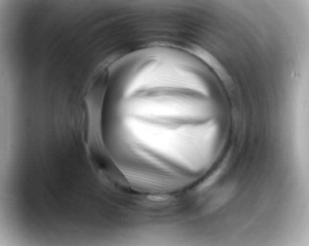 X0000088130857200706041947