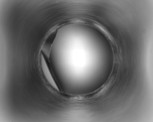 X0000088130858200706041947