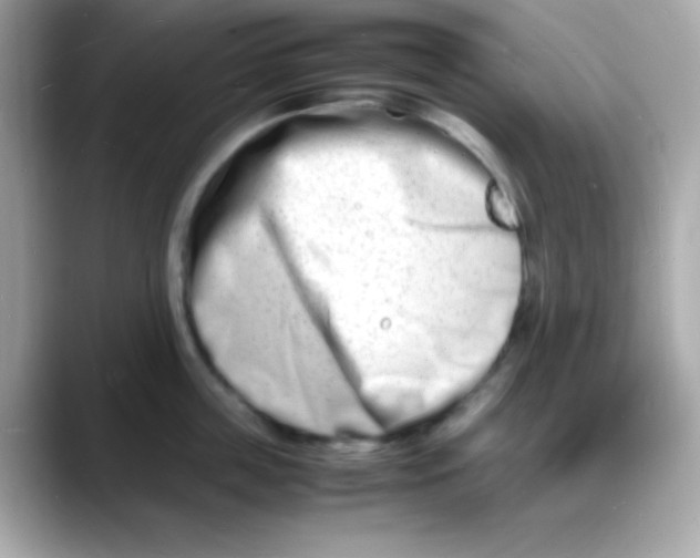 X0000088130859200706041947