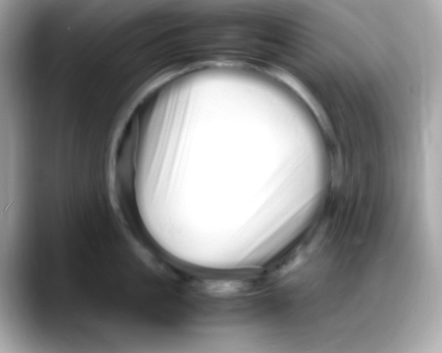 X0000088130861200706041947