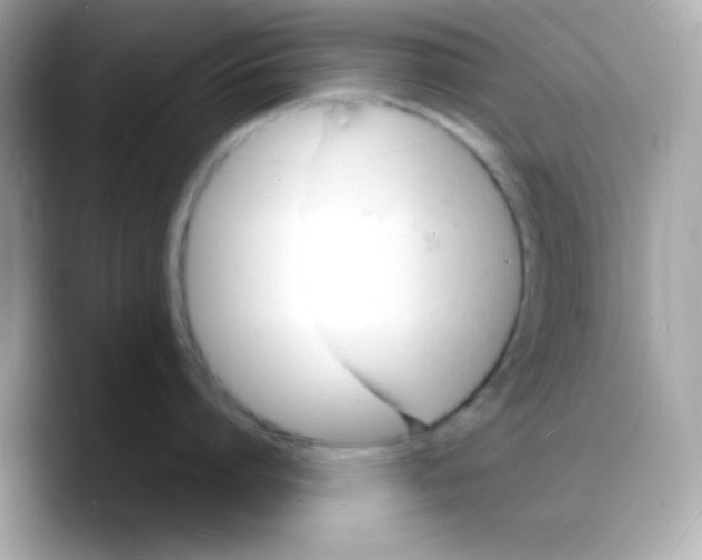 X0000088130864200706041947