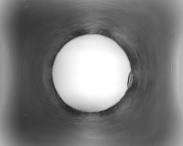 X0000088130865200706041946