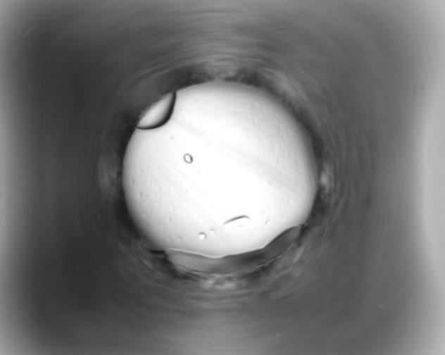 X0000088130867200706041946