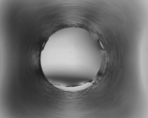 X0000088130868200706041946