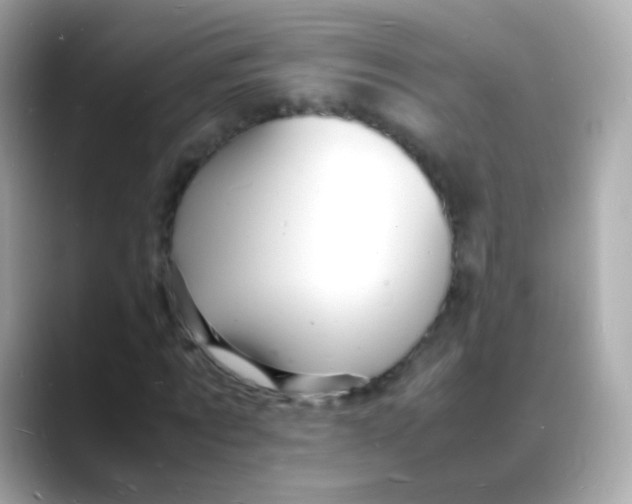 X0000088130869200706041946