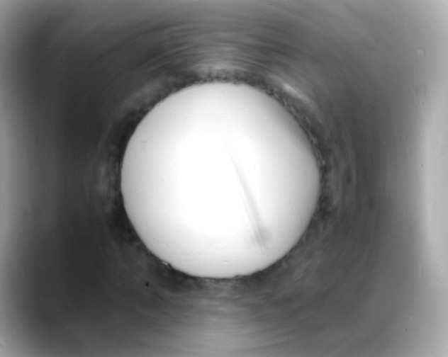 X0000088130870200706041946