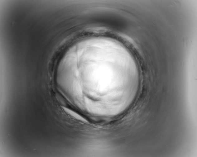 X0000088130871200706041946