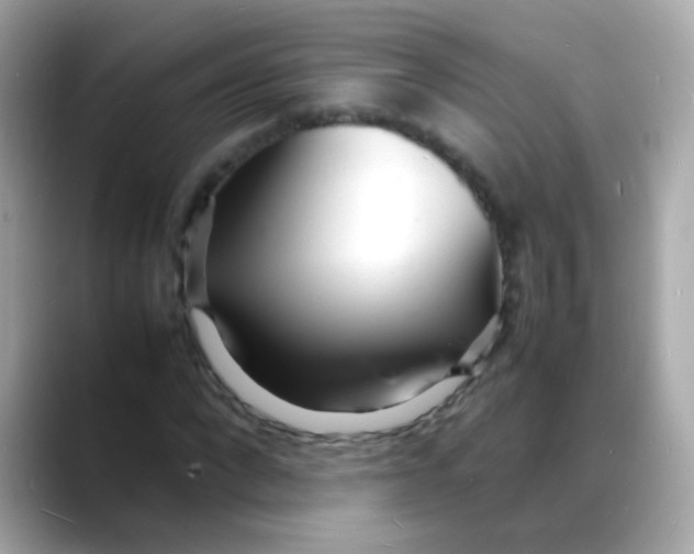 X0000088130872200706041946