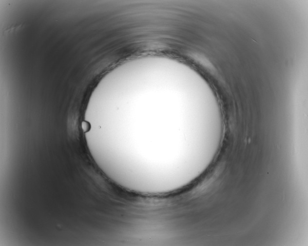 X0000088130873200706041946