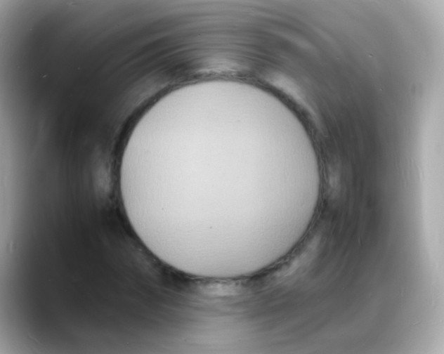 X0000088130874200706041946