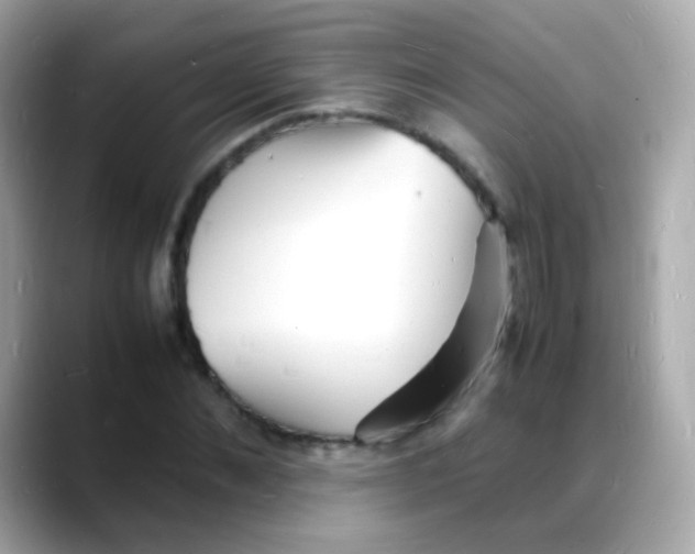 X0000088130876200706041946