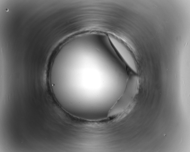 X0000088130880200706041946