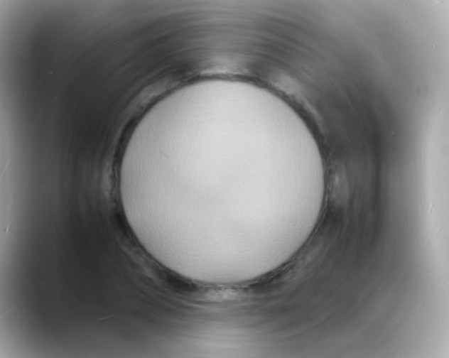 X0000088130882200706041946