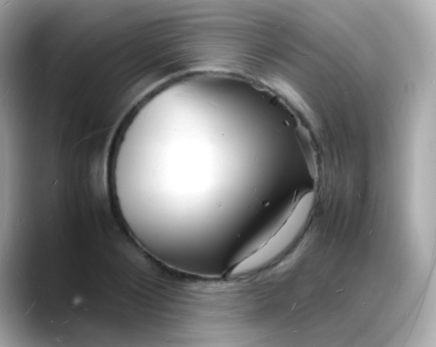 X0000088130884200706041946