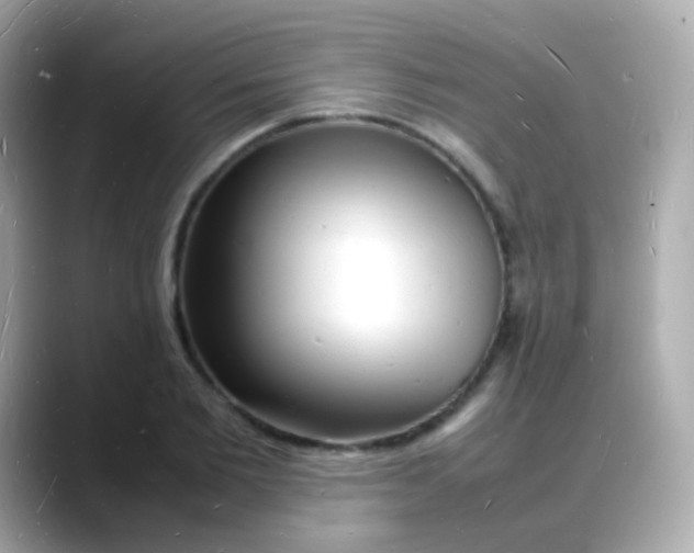 X0000088130885200706041946