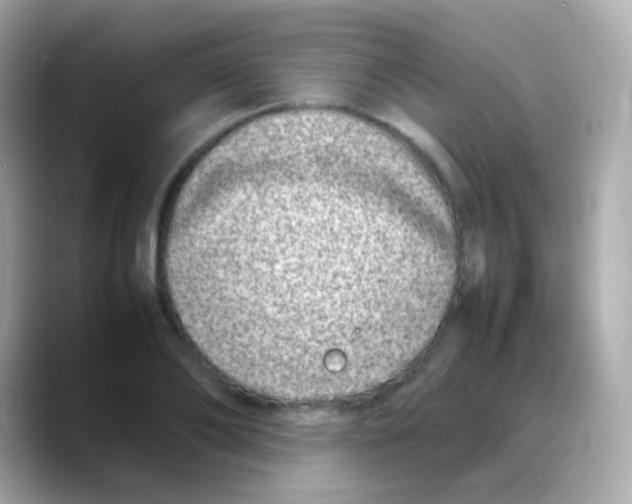 X0000088130886200706041946