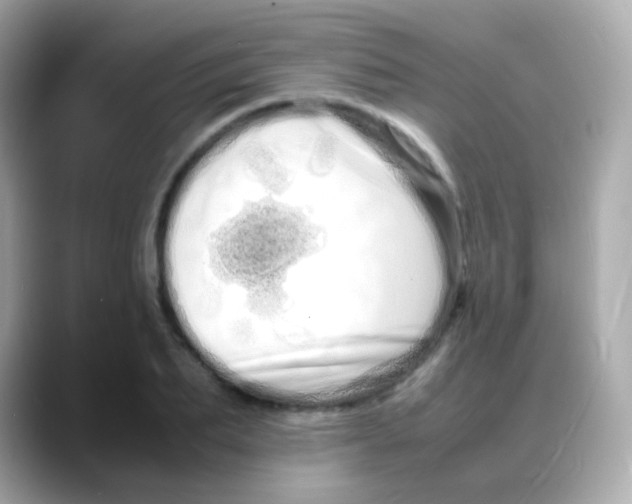 X0000088130887200706041946