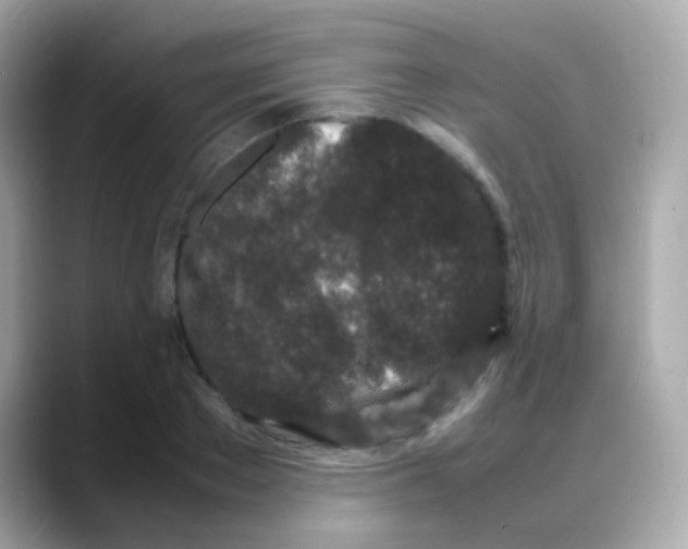 X0000088130889200706041946