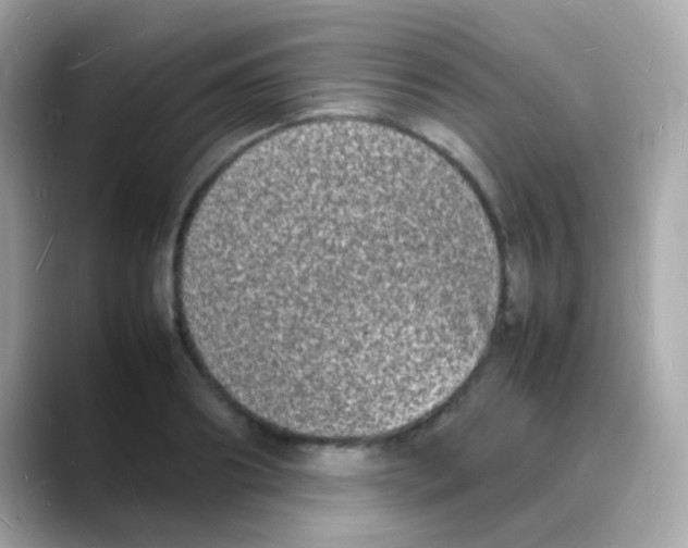 X0000088130890200706041946