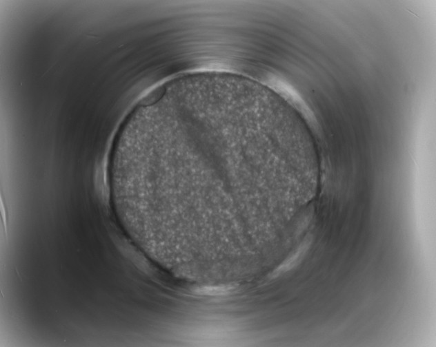 X0000088130892200706041946