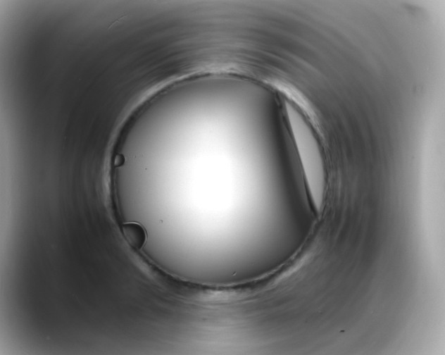 X0000088130894200706041946