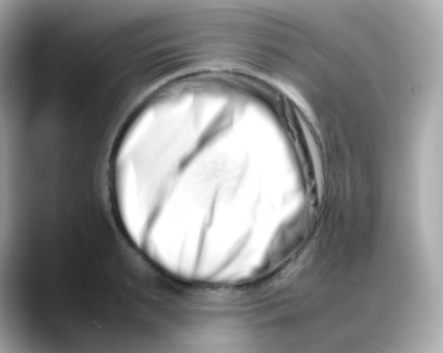 X0000088130895200706041946