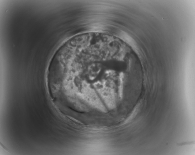 X0000088130899200706041946