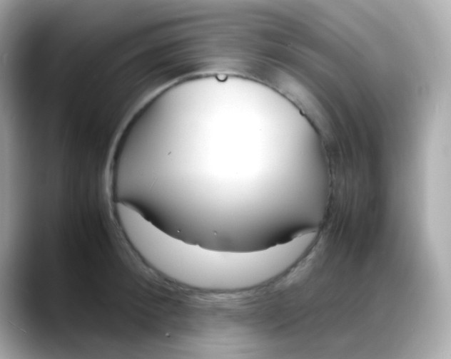 X0000088130900200706041946