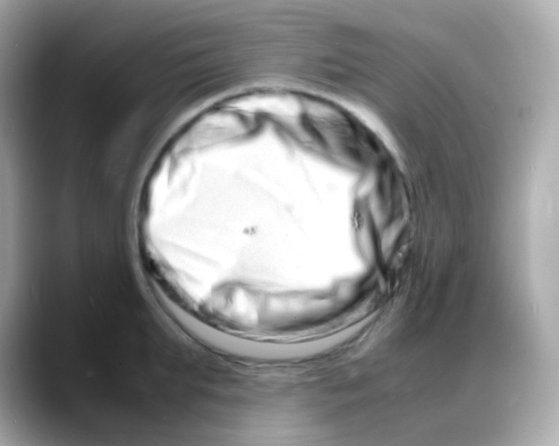 X0000088130903200706041946