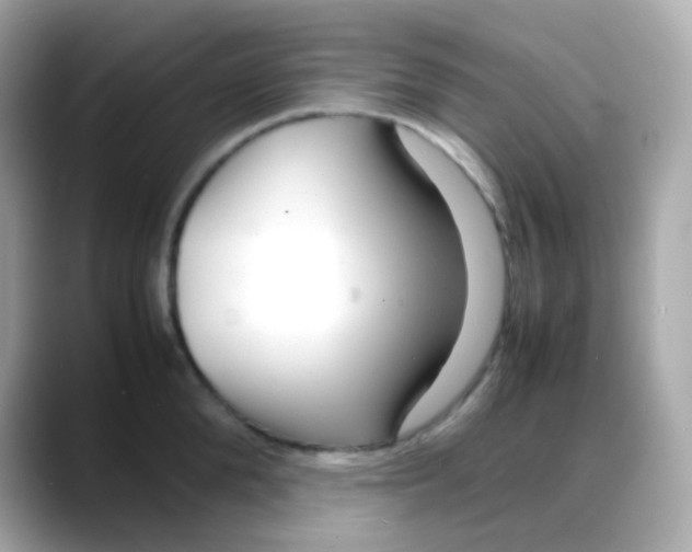 X0000088130904200706041946