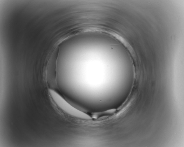 X0000088130905200706041946