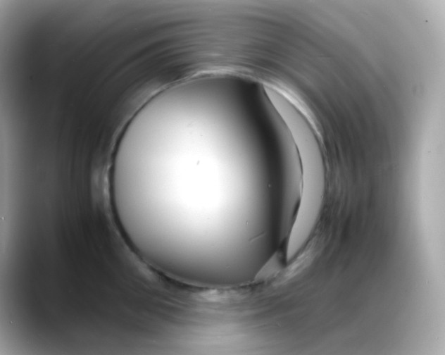 X0000088130906200706041946