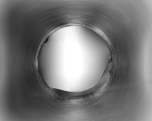 X0000088130908200706041946