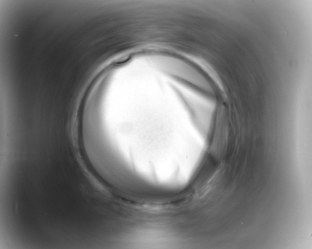 X0000088130911200706041946