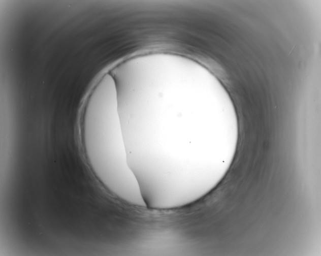 X0000088130912200706041946