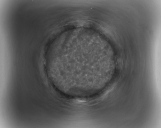 X0000088130913200706041945