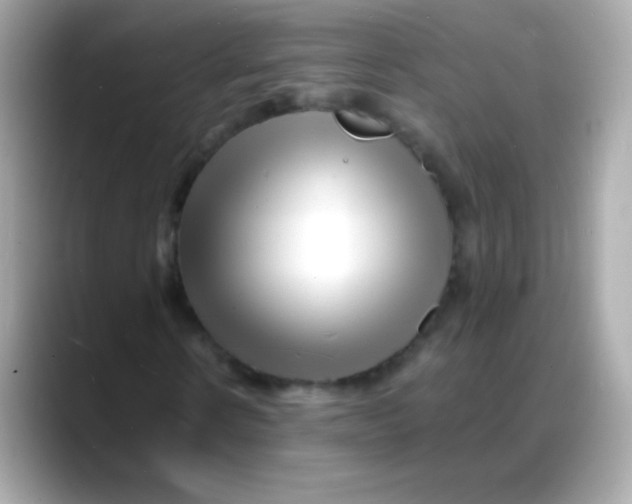 X0000088130914200706041945