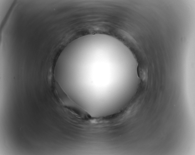 X0000088130915200706041945