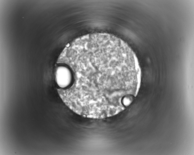 X0000088130918200706041945