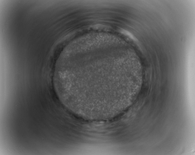 X0000088130919200706041945