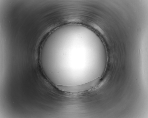 X0000088130922200706041945