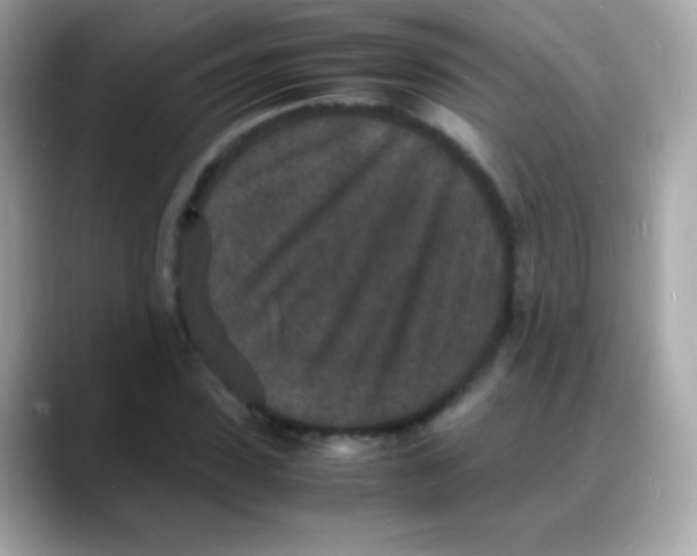 X0000088130923200706041945