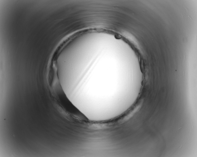 X0000088130924200706041945