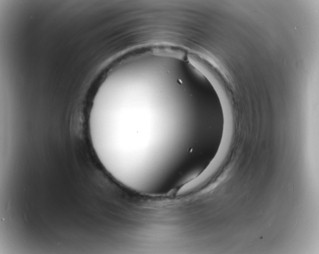 X0000088130926200706041945