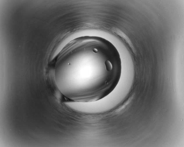 X0000088130930200706041945