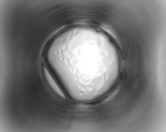 X0000088130933200706041945