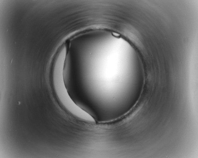 X0000088130934200706041945