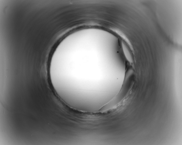 X0000088130935200706041945