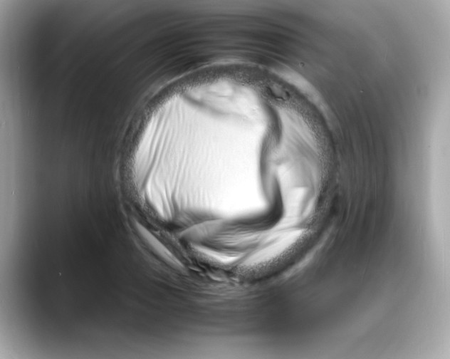 X0000088130937200706041945